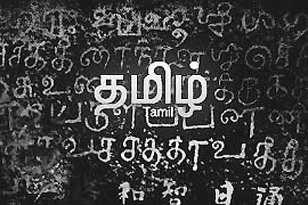"தமிழ்' காட்டும் உணர்வு!