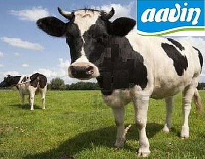 ஆவின் நிறுவனத்தில் டெக்னீசியன் வேலை வேண்டுமா?