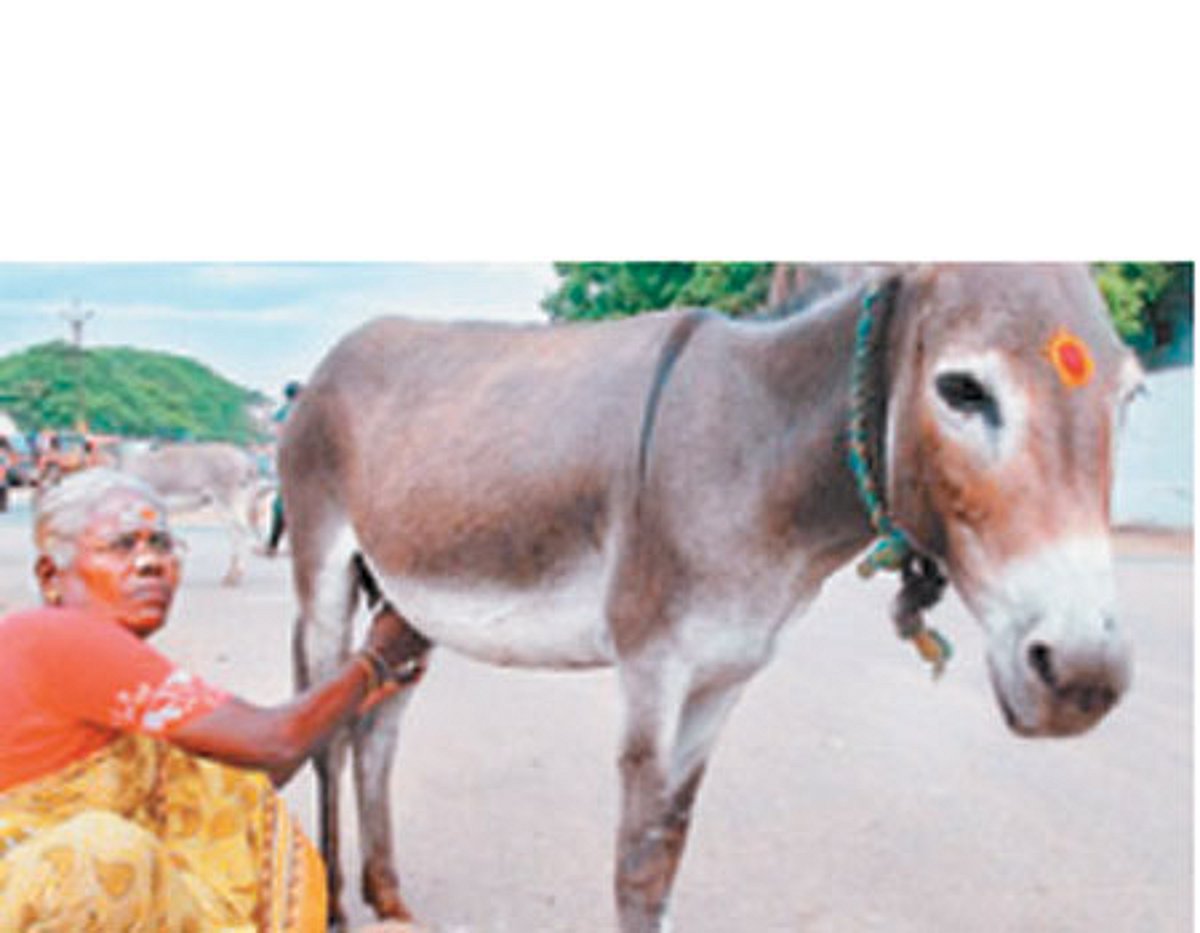 மிகுந்த கிராக்கி