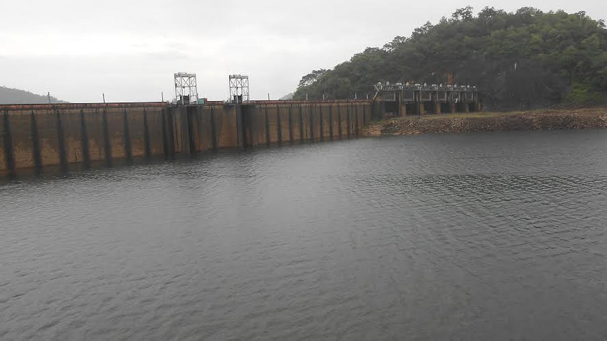 நீர்பிடிப்பு பகுதி தொடரும் மழை: நெல்லை மாவட்டத்தில் 4 அணைகள் நிரம்பின