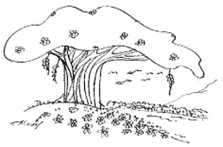 பொன்மொழிகள்