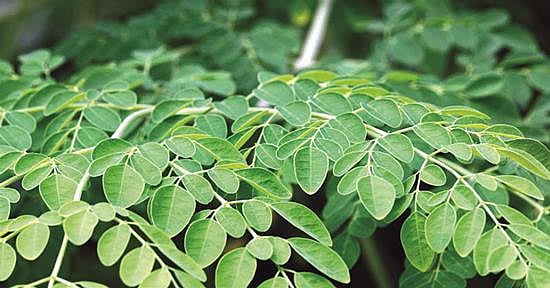 வீட்டு வைத்தியம்!