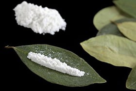 ரூ. 5 கோடி 'கோகைன்' கடத்தல்: தென் ஆப்பிரிக்க பெண் சென்னையில் கைது