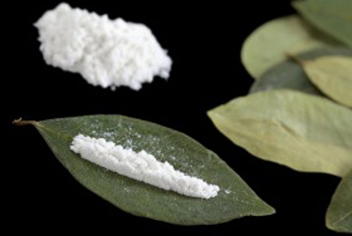 ரூ. 5 கோடி 'கோகைன்' கடத்தல்: தென் ஆப்பிரிக்க பெண் சென்னையில் கைது