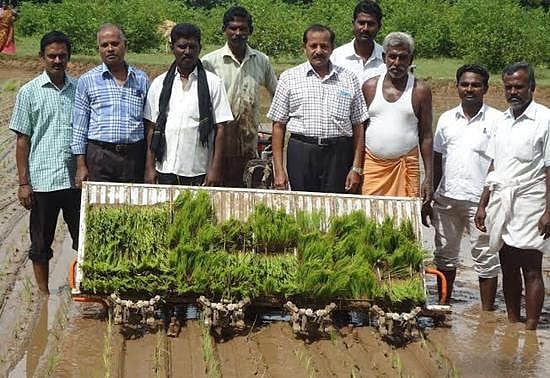 மணப்பாறையில் நடவு எந்திரம் மூலம் சம்பா நெல் நாற்று நடும் பணி தொடக்கம்