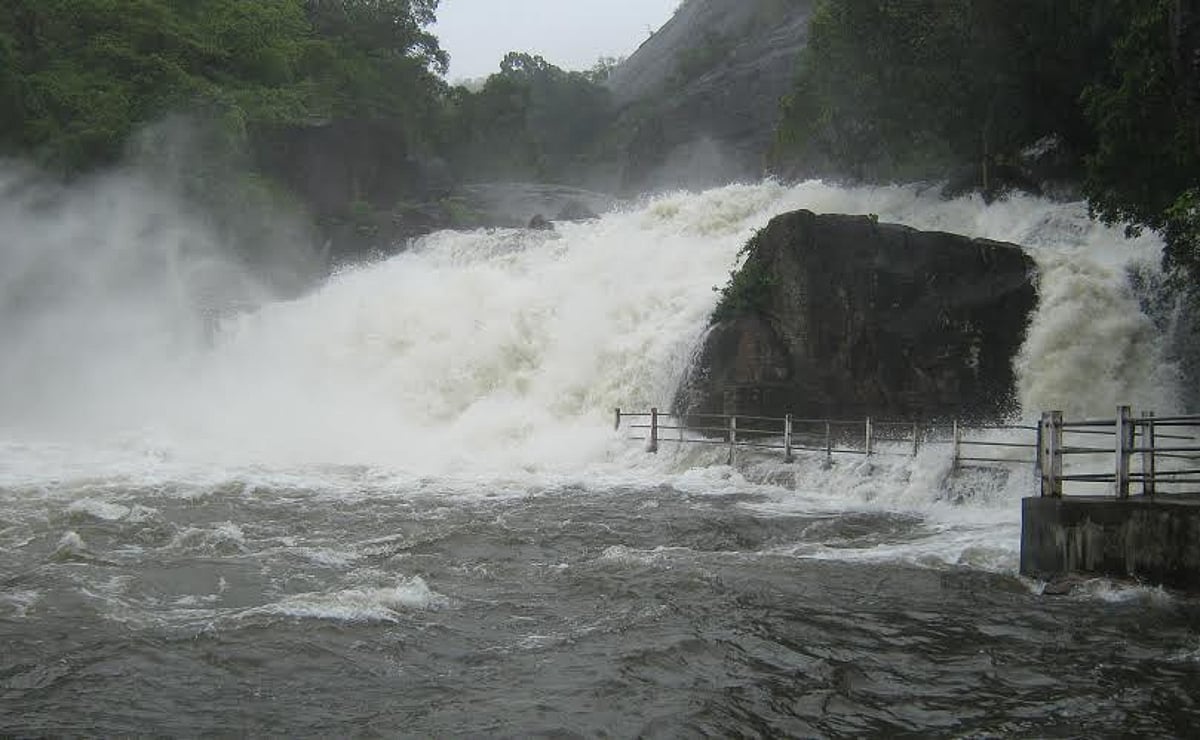 மணிமுத்தாறு அருவியில் மீண்டும் வெள்ளம்: 130 அடியை தாண்டியது அடவிநயினார் அணை!