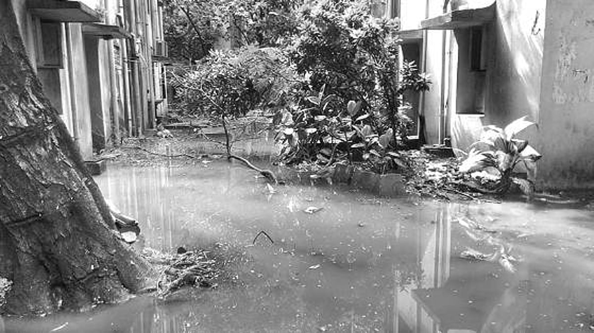 ராயப்பேட்டையில் கழிவுநீர்க் குட்டையாக அரசு குடியிருப்பு!