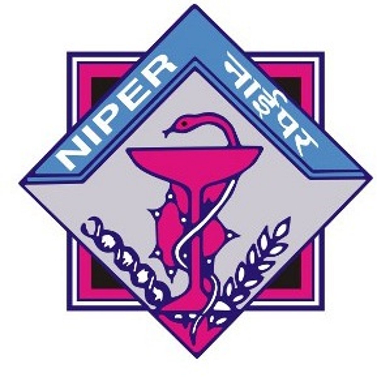 தேசிய மருந்தியல் கல்வி மற்றும் ஆராய்ச்சி நிறுவனத்தில் பணி