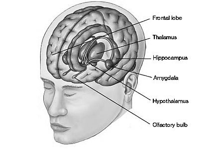 தமிழர் கண்ட மாத்திரையும் மனநலமும்!