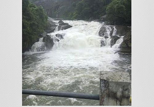 பாபநாசம், மணிமுத்தாறு அருவிகளில் குறையாத வெள்ளம்! சுற்றுலாப் பயணிகள் குளிக்க தடை நீடிப்பு