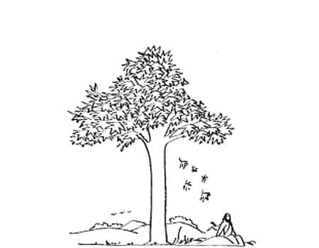 பொன்மொழிகள்