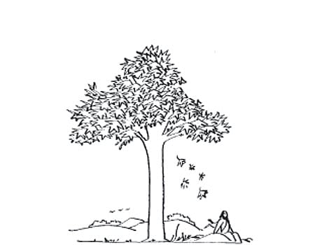 பொன்மொழிகள்