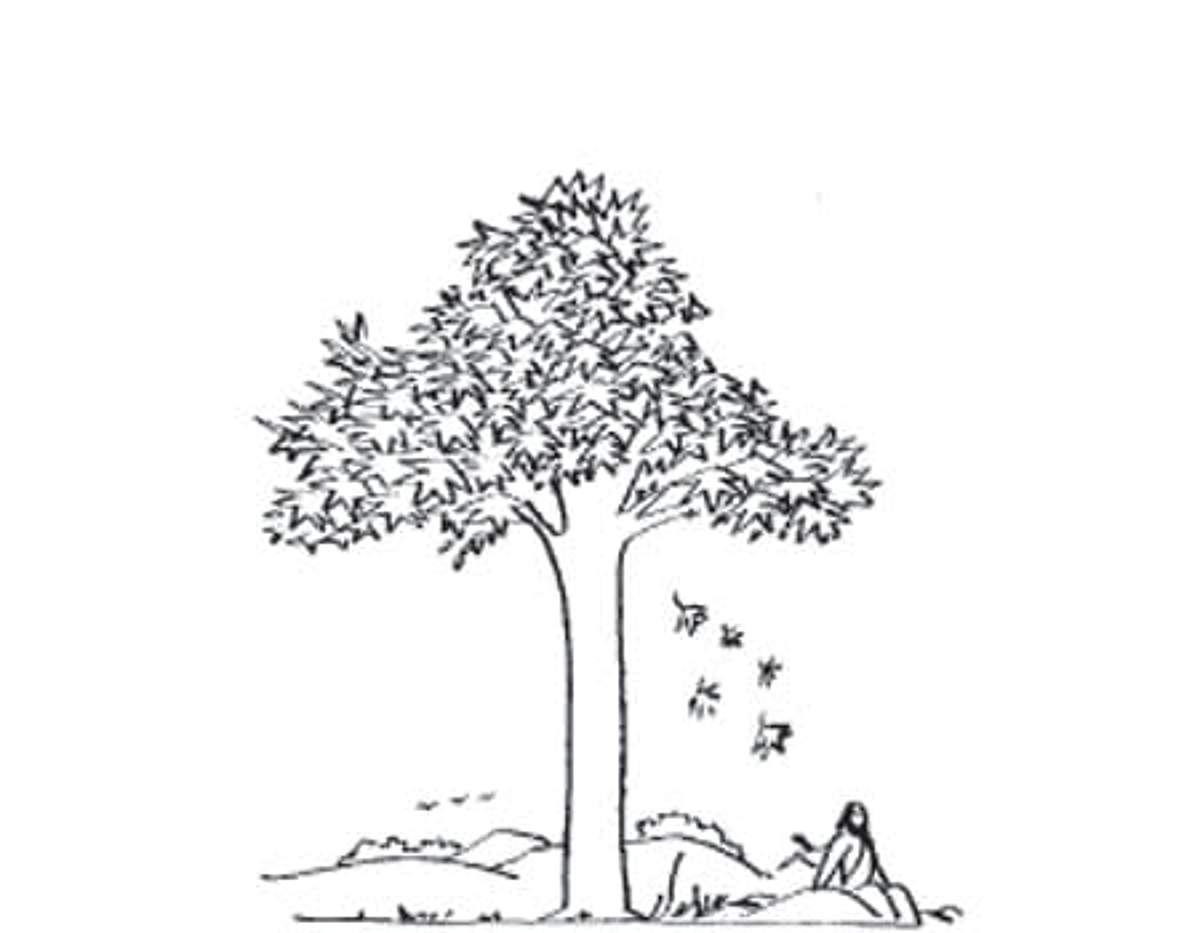 பொன்மொழிகள்