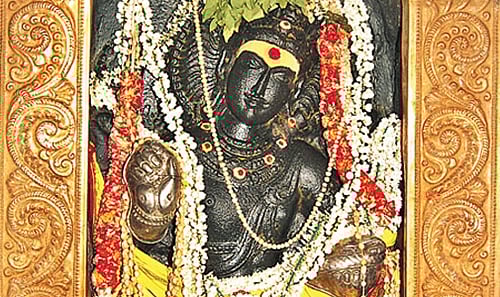 தக்கோலத்தில் தட்சிணாமூர்த்திக்கு சிறப்பு அபிஷேக அலங்காரம்