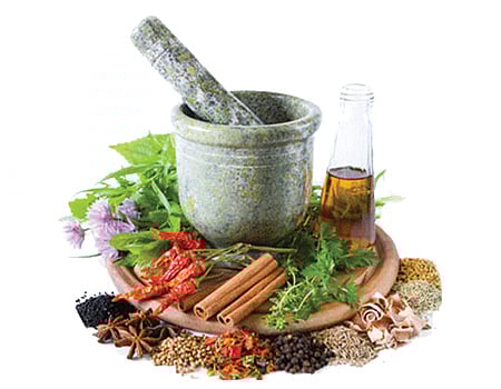 சித்த மருத்துவ விண்ணப்பங்கள்: ஓரிரு நாளில் அறிவிப்பு