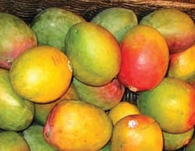 வடு மாங்காய்