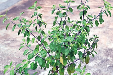 தெரிந்து கொள்ள வேண்டிய தகவல்கள்