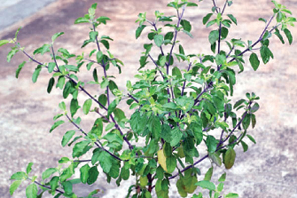 தெரிந்து கொள்ள வேண்டிய தகவல்கள்