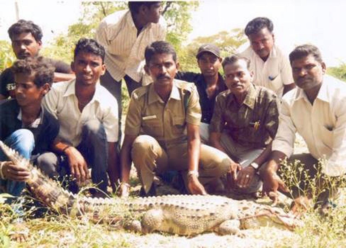சிதம்பரம் நகர குளத்தில் மீன்வலையில் சிக்கிய முதலை!