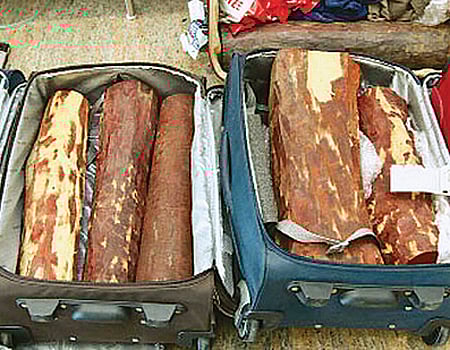 செம்மரக்கட்டை கடத்தல் மையமாகத் திகழும் சென்னை துறைமுகம்