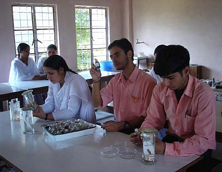 பள்ளி ஆய்வக உதவியாளர் பணித் தேர்வு - 1