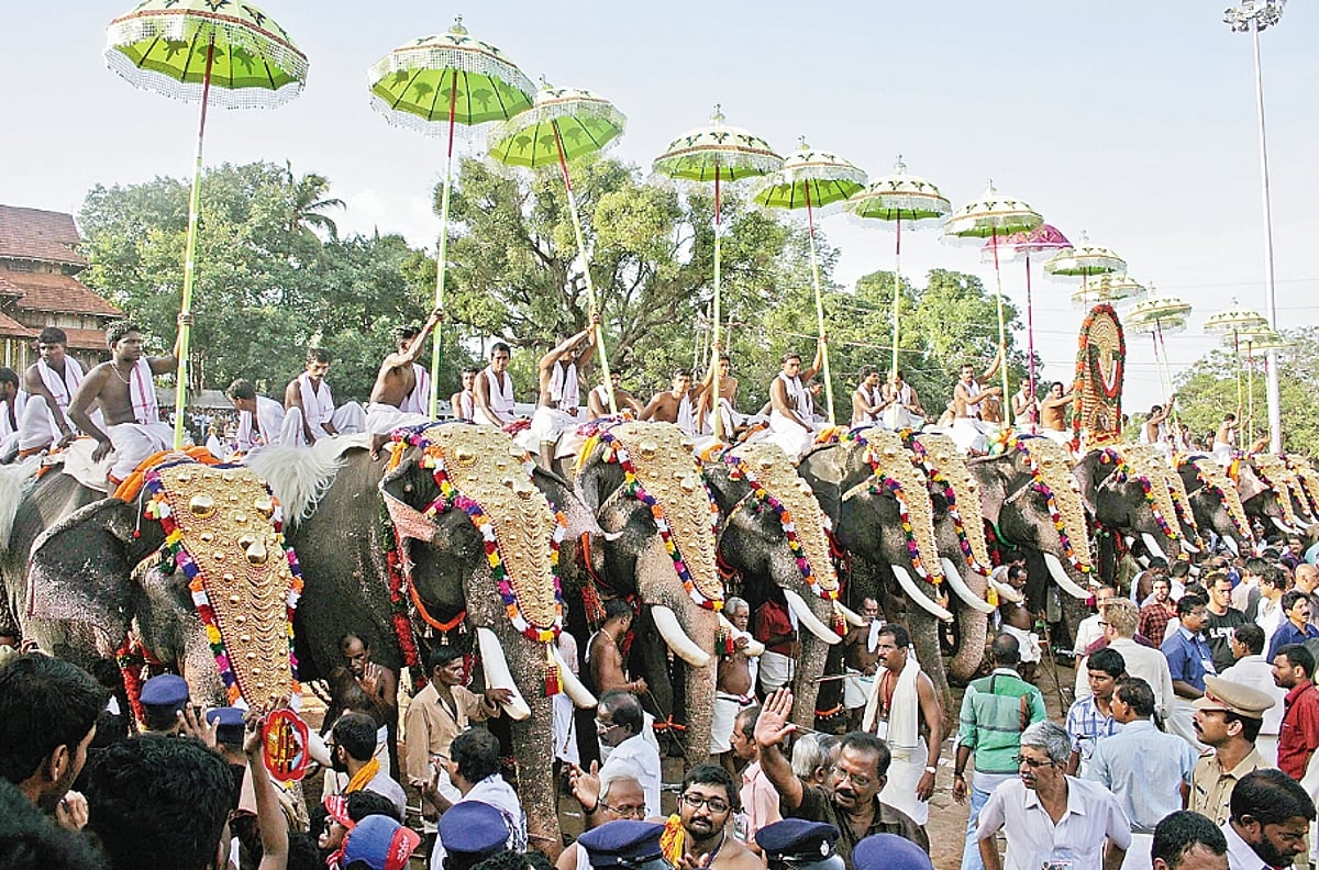நீதிமன்றத் தீர்ப்பு எதிரொலி: தனியார்களால் வளர்க்கப்படும் யானைகளின் எதிர்காலம் என்ன?