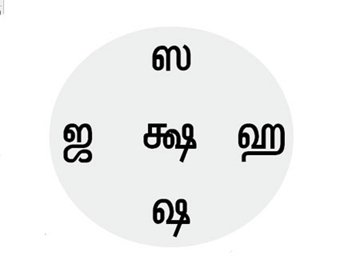 தமிழ் எழுத்துகள் முப்பத்தொன்றே!