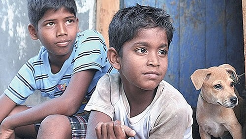 காக்கா முட்டை கதை உருவானது எப்படி?