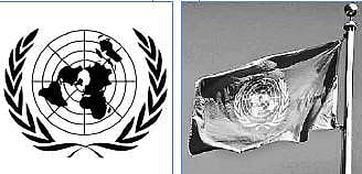 கருவூலம் : ஐக்கிய நாடுகள் சபை (UNO)