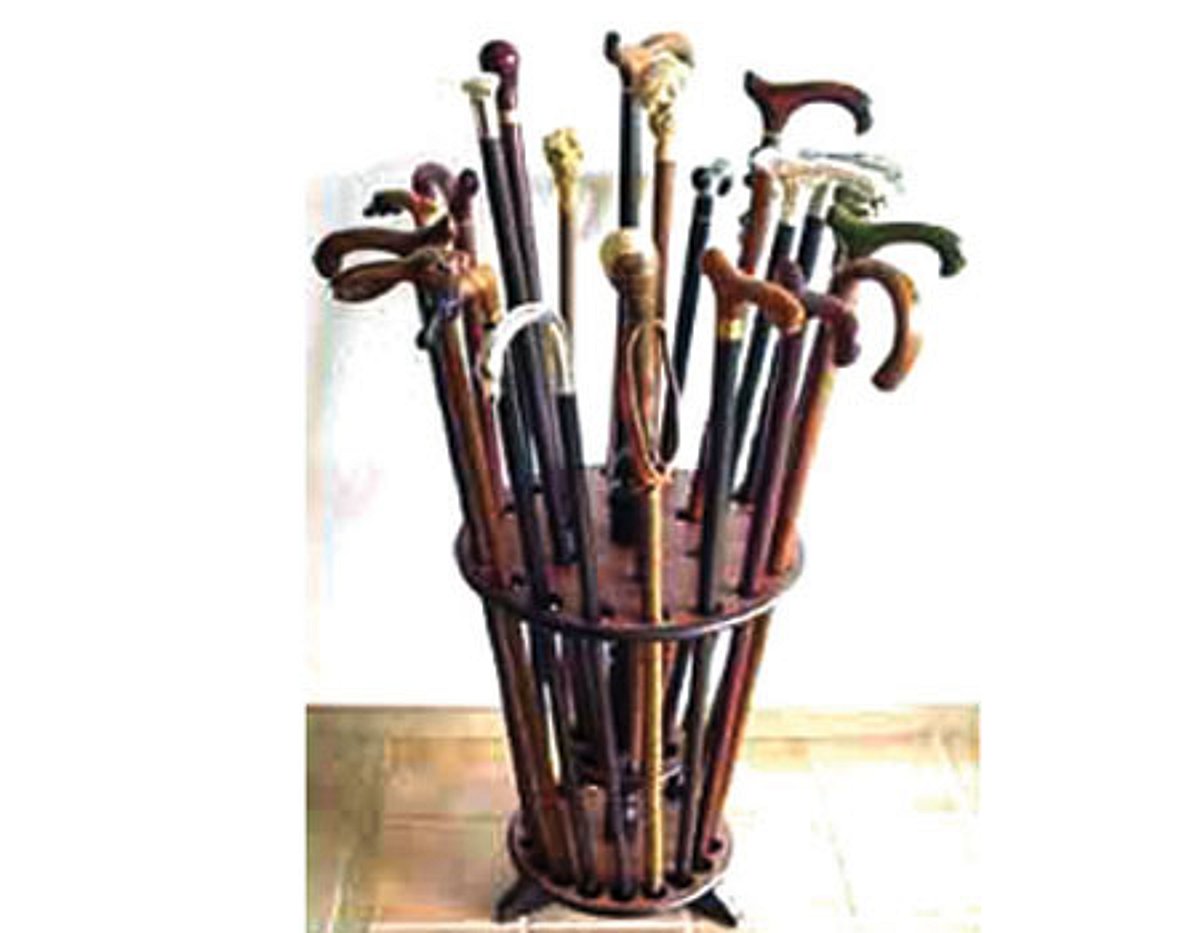 வாக்கிங் ஸ்டிக்கின் கதை