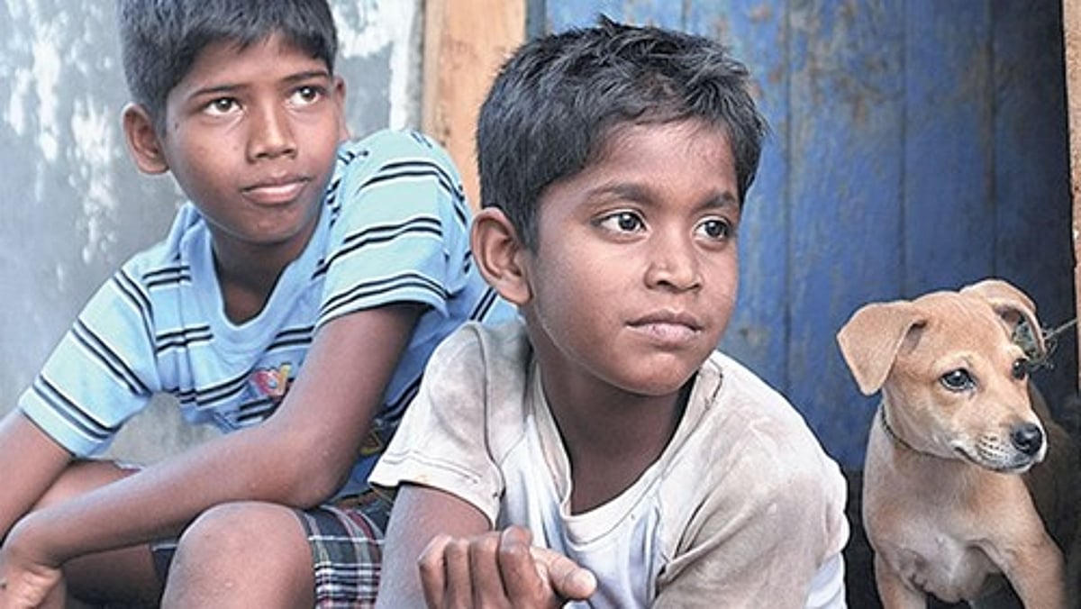 தனுஷ் தயாரித்த ‘காக்கா முட்டை’க்குப் பலத்த வரவேற்பு; விலைக்கு வாங்கிய விஜய் டிவி!