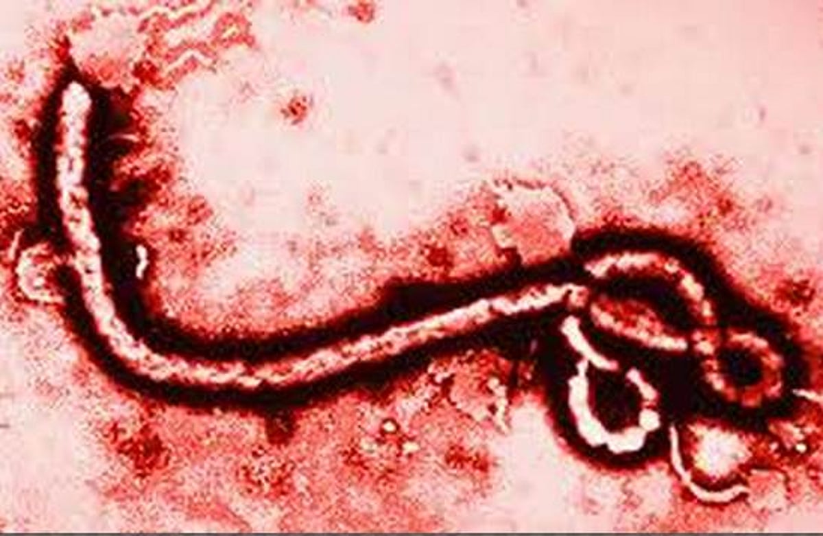 ஆப்பிரிக்காவில் எபோலா பாதிப்பால் 600 பேர் மரணம்