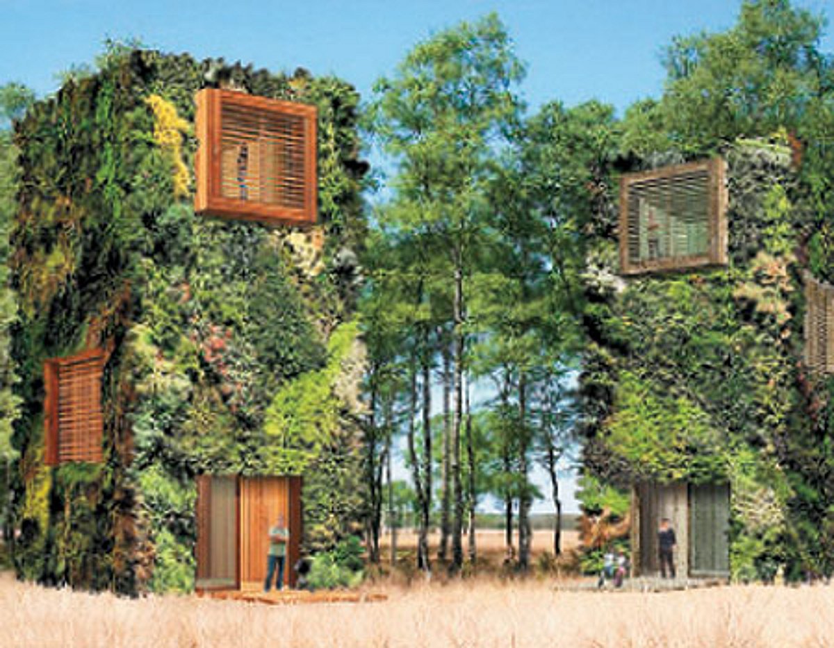 இயற்கை நகரம்!