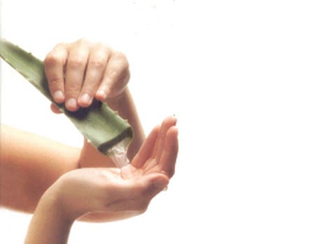 கற்றாழைச் சாறு!