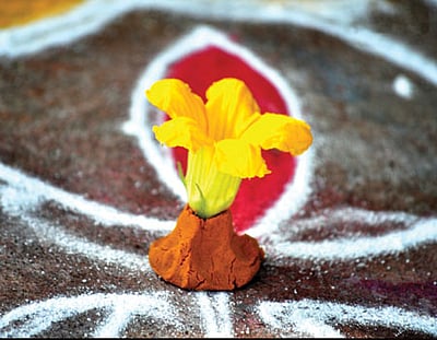 வாசலிலே பூசணிப் பூ.. கோலத்தை அலங்கரிக்க இந்தப் பூவை தேர்ந்தெடுத்தது ஏன்?