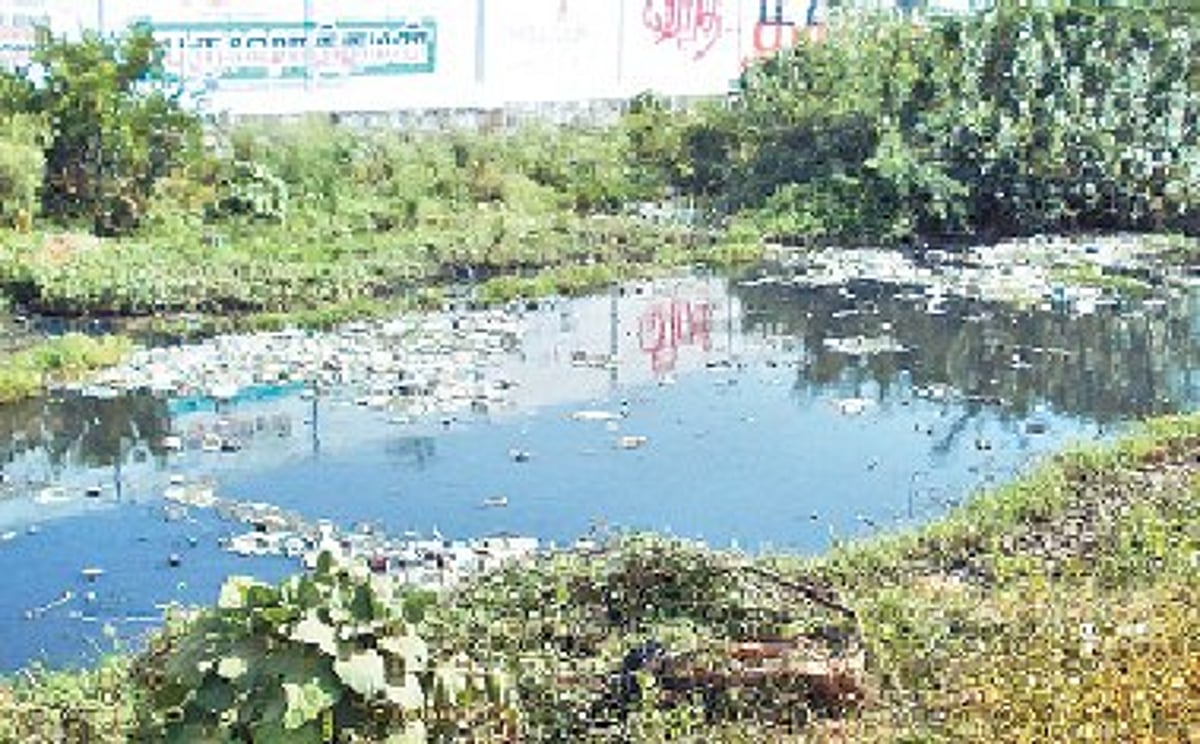 சுகாதாரச் சீர்கேட்டில் மாம்பாக்கம்