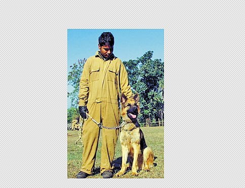 வன விலங்குகள் வேட்டையாடப்படுவதைத் தடுக்க 14 மோப்ப நாய்கள்: தமிழகத்துக்கு விரைவில் வருகை