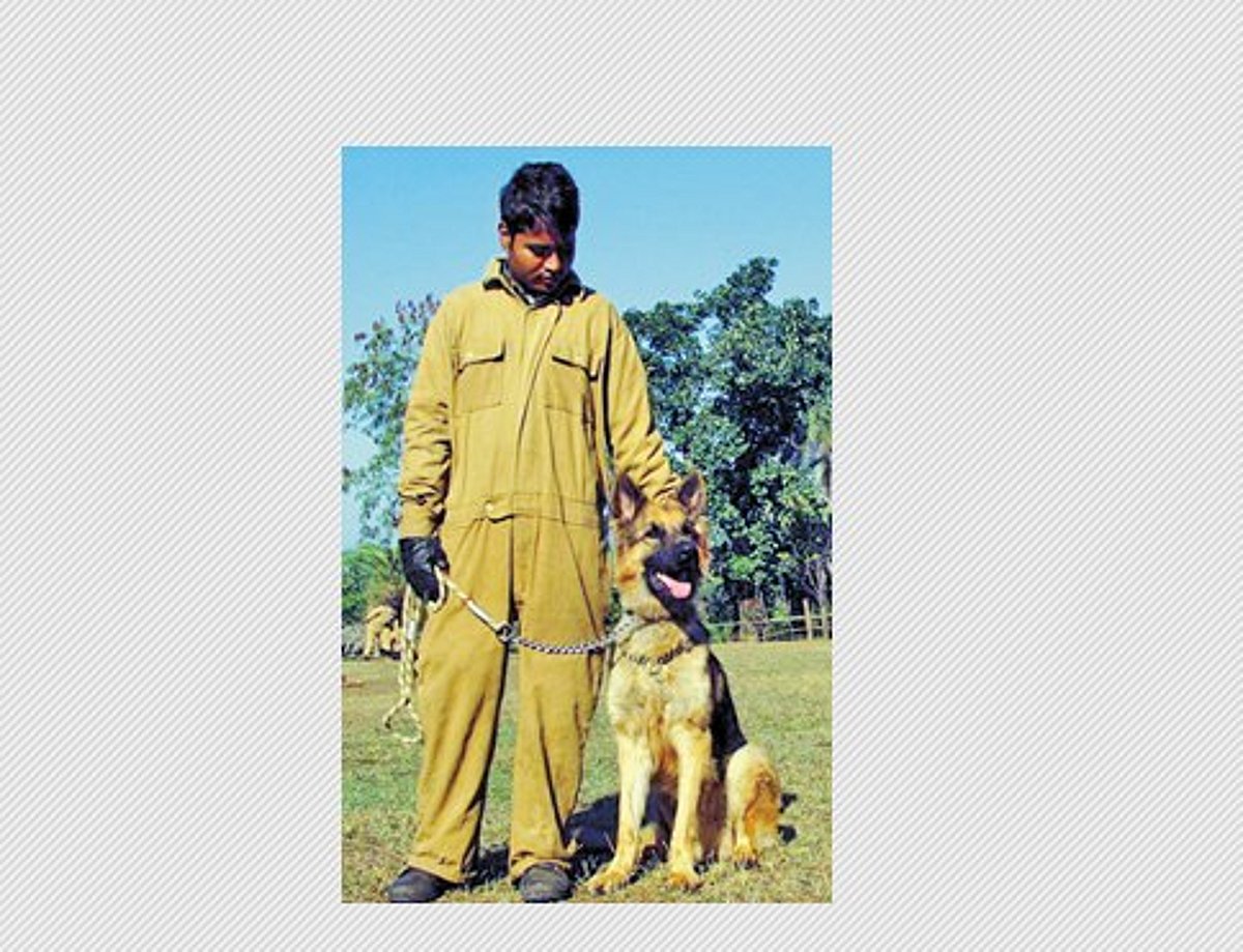 வன விலங்குகள் வேட்டையாடப்படுவதைத் தடுக்க 14 மோப்ப நாய்கள்: தமிழகத்துக்கு விரைவில் வருகை