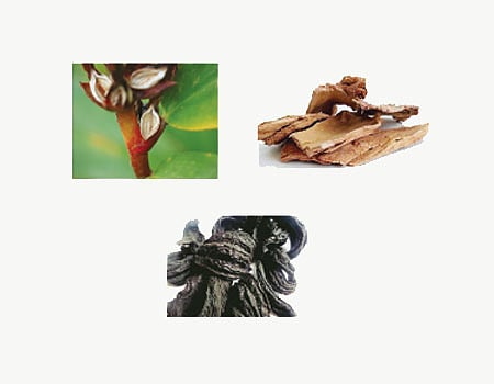 ஆயுள் காக்கும் ஆயுர்வேதம்: பாதம் மற்றும் கைகளில் மதமதப்பு..!