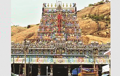 திருப்பரங்குன்றம் சுப்பிரமணிய சுவாமிக்கு போலி பட்டு சார்த்த தடை 