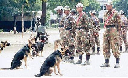 பயிற்சி முடித்து தமிழகம் திரும்பும் வன விலங்கு வேட்டைத் தடுப்பு நாய்கள்