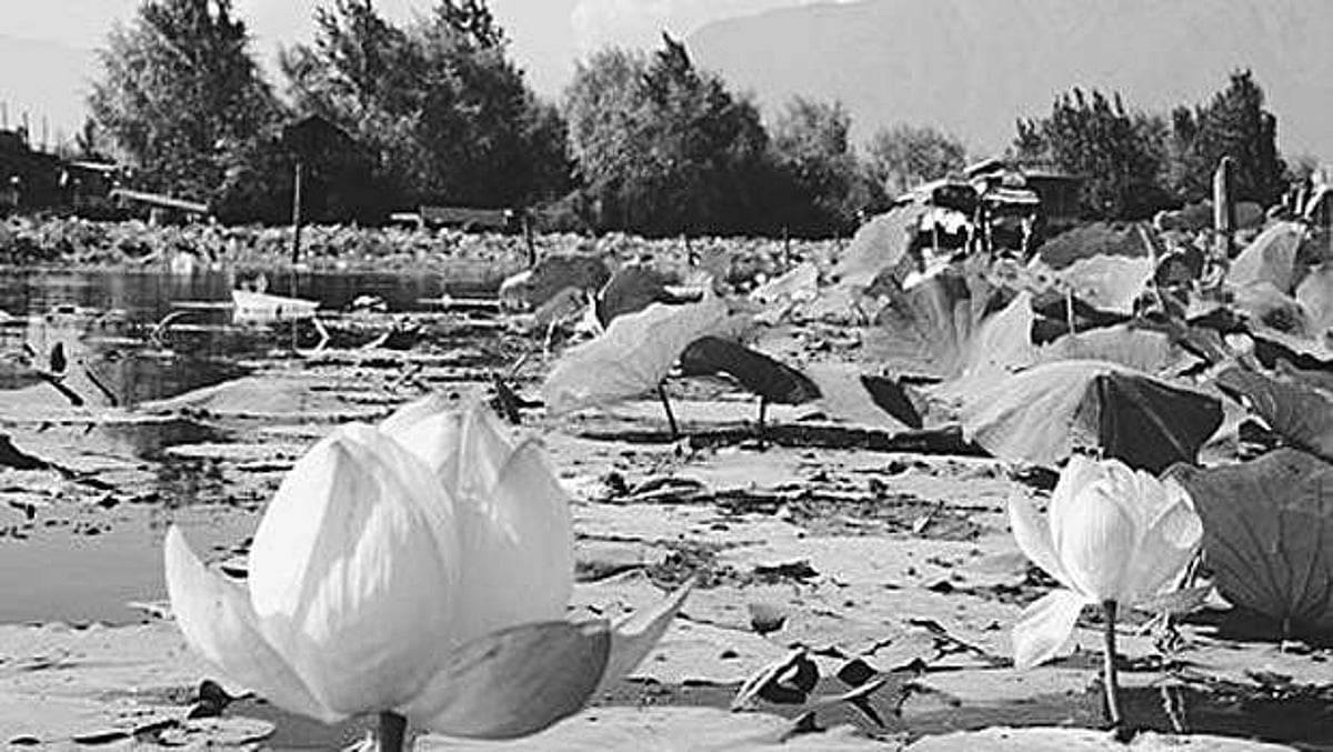 தமிழ்ச் செல்வங்கள்: தண்ணீர்