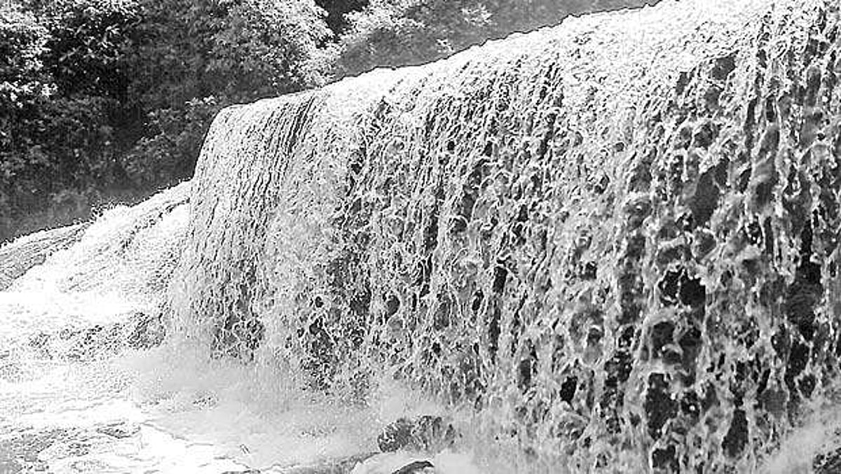 தமிழ்ச் செல்வங்கள்