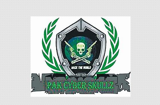 தமிழக அரசு இணையதளப் பக்கங்கள் திடீர் முடக்கம்: பாகிஸ்தான் சதி காரணமா?