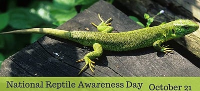 அக்டோபர் 21 - ஊர்வன விழிப்புணர்வு தினம்