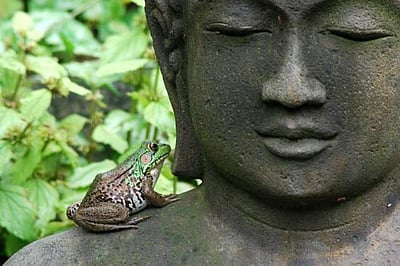 ஜென்னில் தொடங்கி...ஜென்னில் மலர்ந்து....