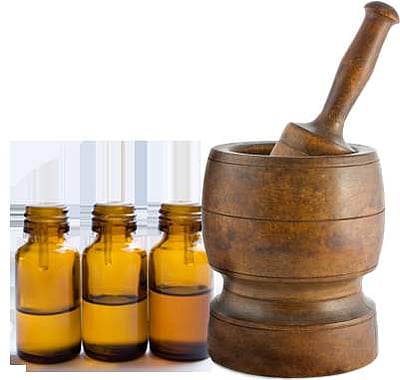 33.வாசமில்லா மலரிது!