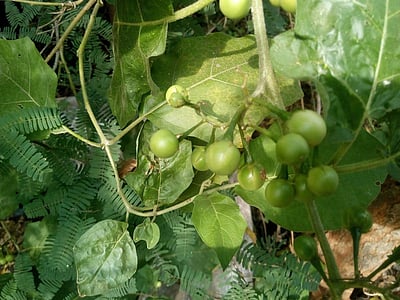 இன்றைய மருத்துவ சிந்தனை! 19.11.2016