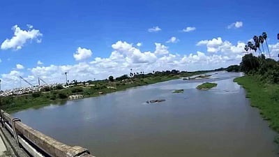 குளிர்பான ஆலைகளுக்கு தாமிரபரணி தண்ணீர் சப்ளை 'கட் ' : உயர்நீதிமன்றம் உத்தரவு!