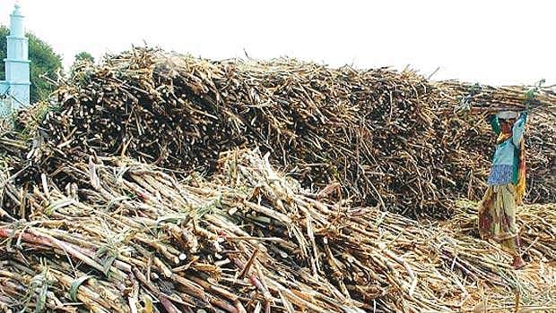 கரும்பு கொள்முதல் அறிவிப்பு எப்போது?